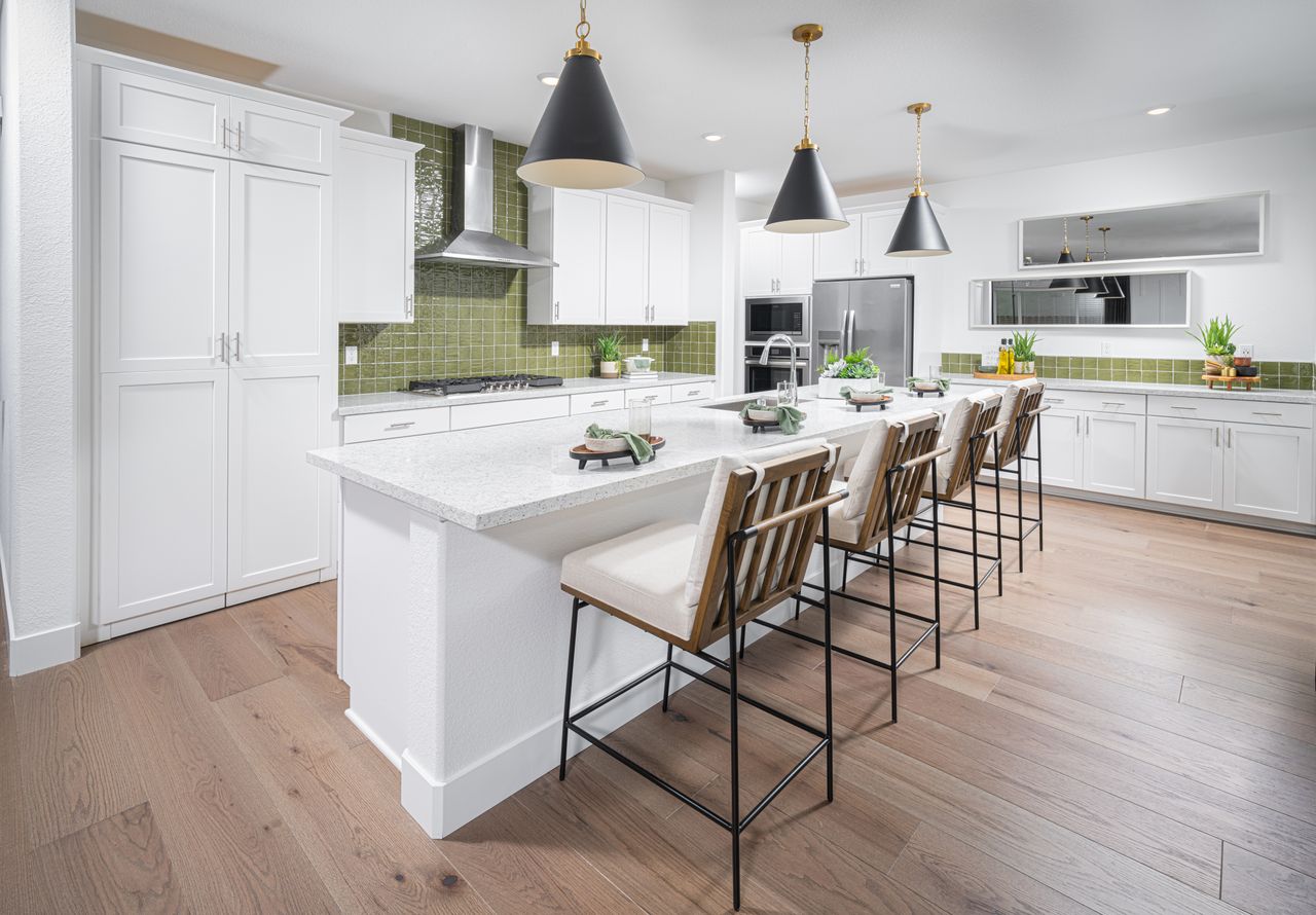LSC_Meander_WindingCreek_Pic_Res2705_Kitchen_F1